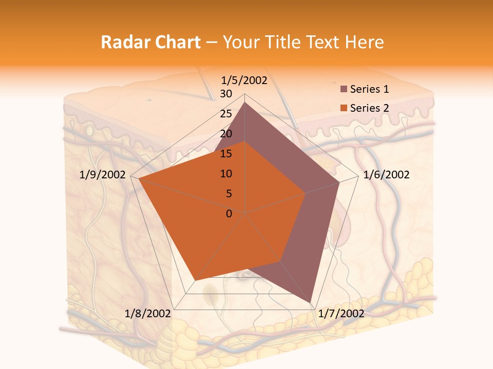 Granulosum Clip Art Cross Section PowerPoint Template