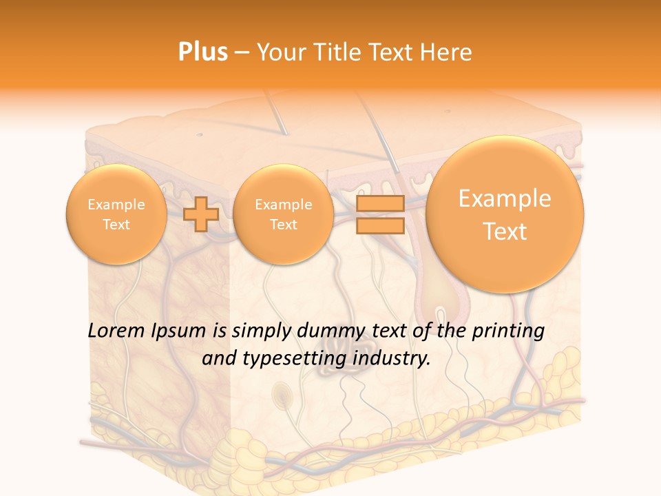 Granulosum Clip Art Cross Section PowerPoint Template