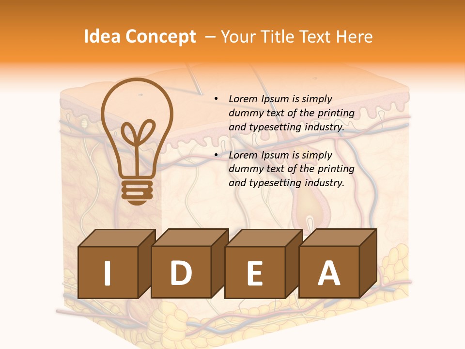 Granulosum Clip Art Cross Section PowerPoint Template