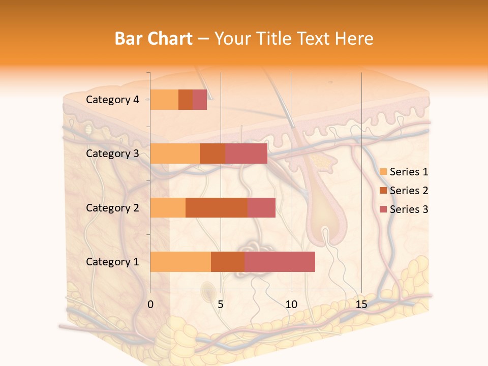 Granulosum Clip Art Cross Section PowerPoint Template