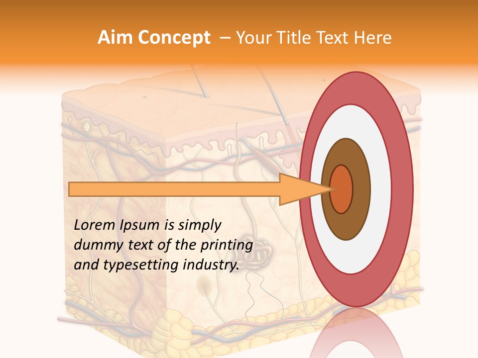 Granulosum Clip Art Cross Section PowerPoint Template