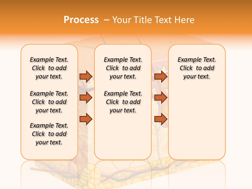 Granulosum Clip Art Cross Section PowerPoint Template