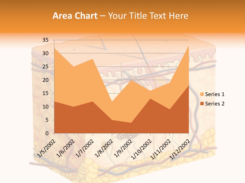 Granulosum Clip Art Cross Section PowerPoint Template