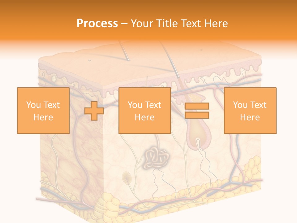 Granulosum Clip Art Cross Section PowerPoint Template