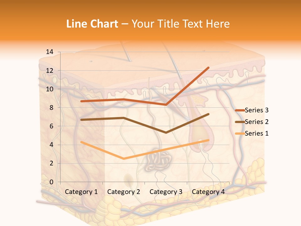 Granulosum Clip Art Cross Section PowerPoint Template