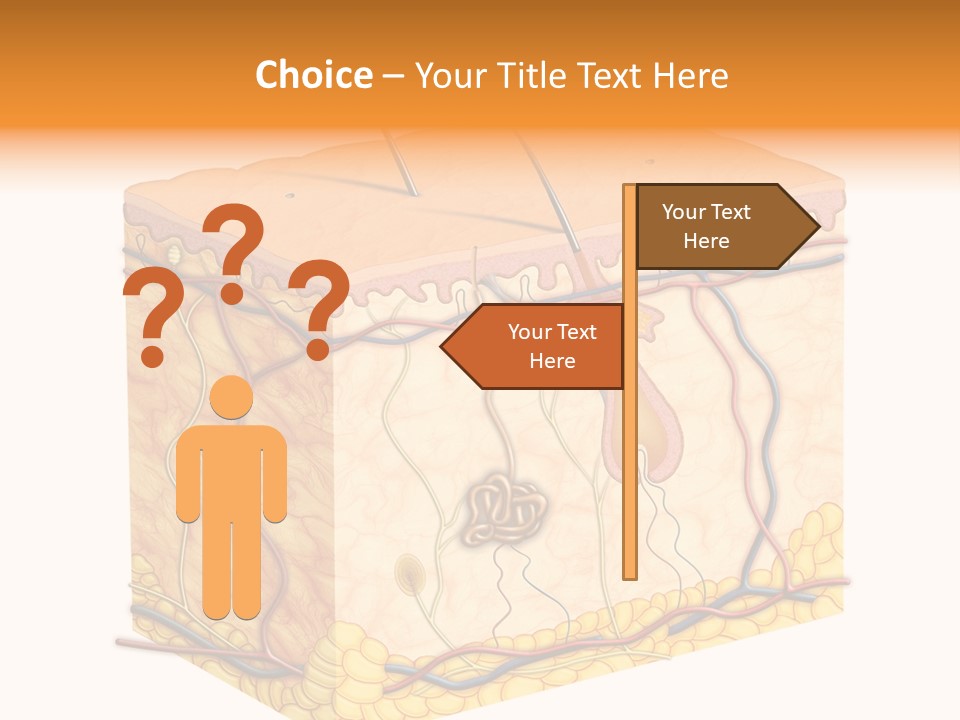 Granulosum Clip Art Cross Section PowerPoint Template