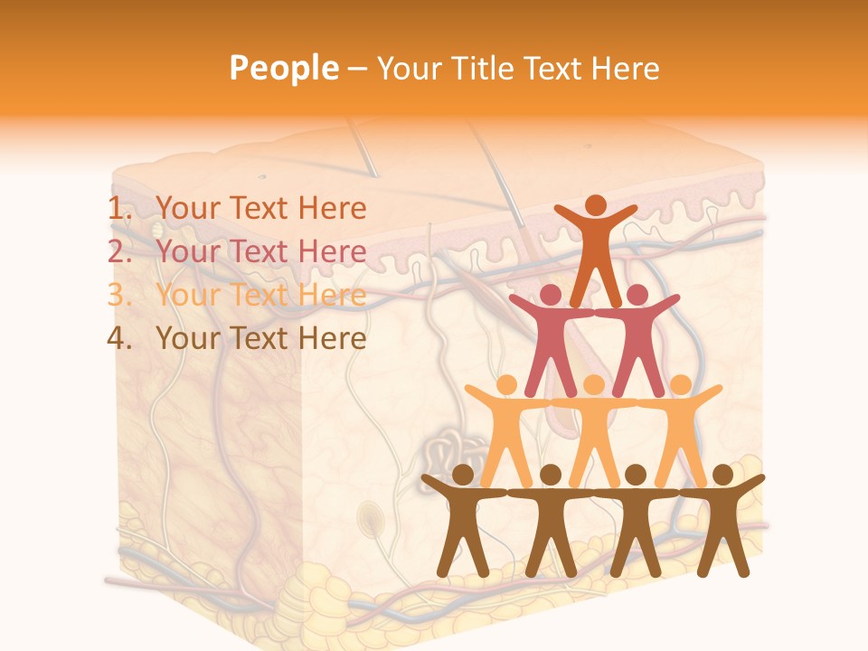 Granulosum Clip Art Cross Section PowerPoint Template