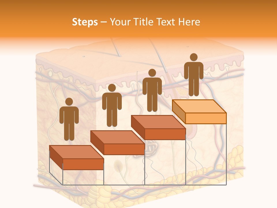 Granulosum Clip Art Cross Section PowerPoint Template