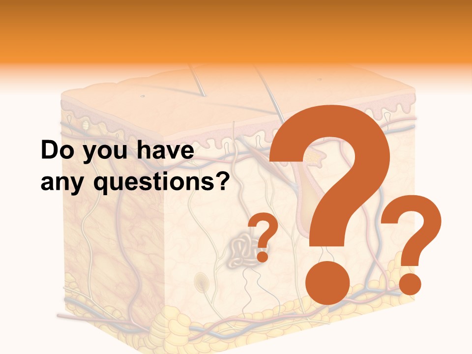 Granulosum Clip Art Cross Section PowerPoint Template