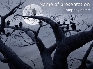 Power Nature Spooky PowerPoint Template