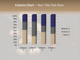 Seatbelt Save Passenger PowerPoint Template