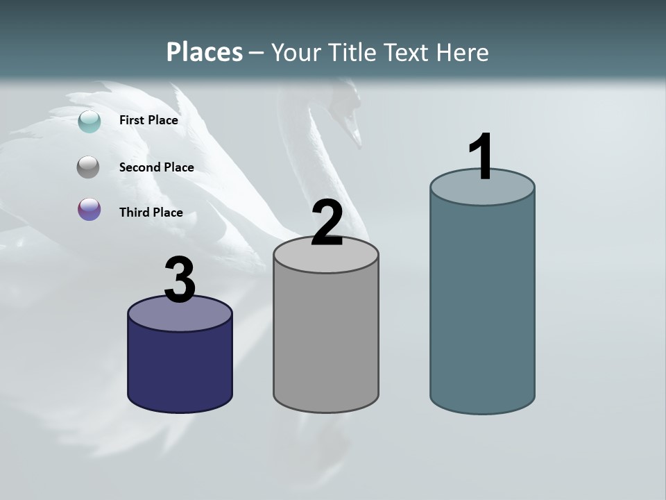 Haze Beautiful Swan PowerPoint Template