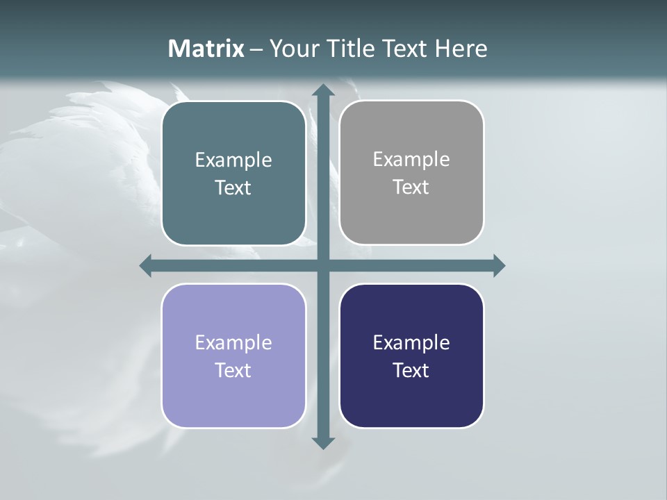 Haze Beautiful Swan PowerPoint Template