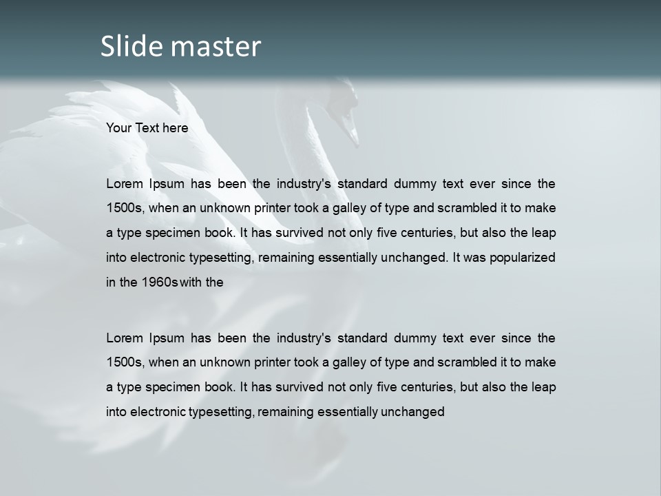 Haze Beautiful Swan PowerPoint Template