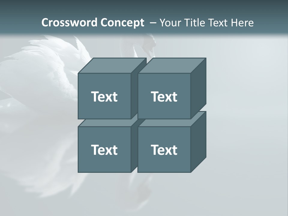 Haze Beautiful Swan PowerPoint Template