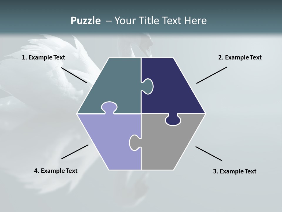 Haze Beautiful Swan PowerPoint Template