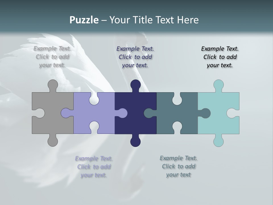 Haze Beautiful Swan PowerPoint Template