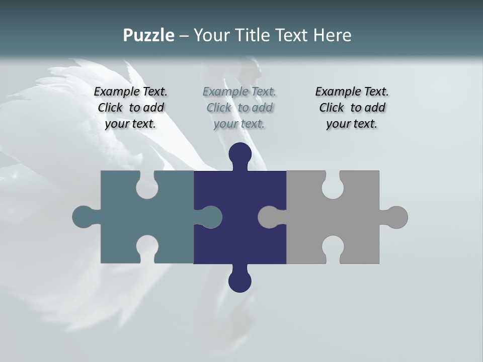 Haze Beautiful Swan PowerPoint Template