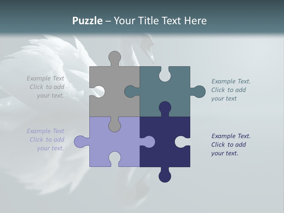 Haze Beautiful Swan PowerPoint Template