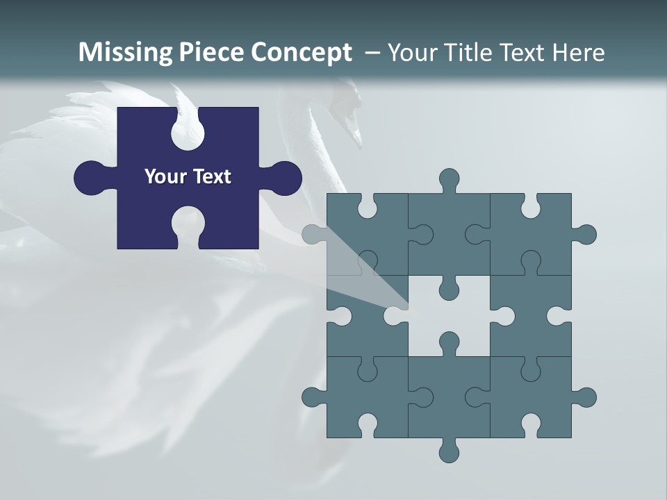 Haze Beautiful Swan PowerPoint Template