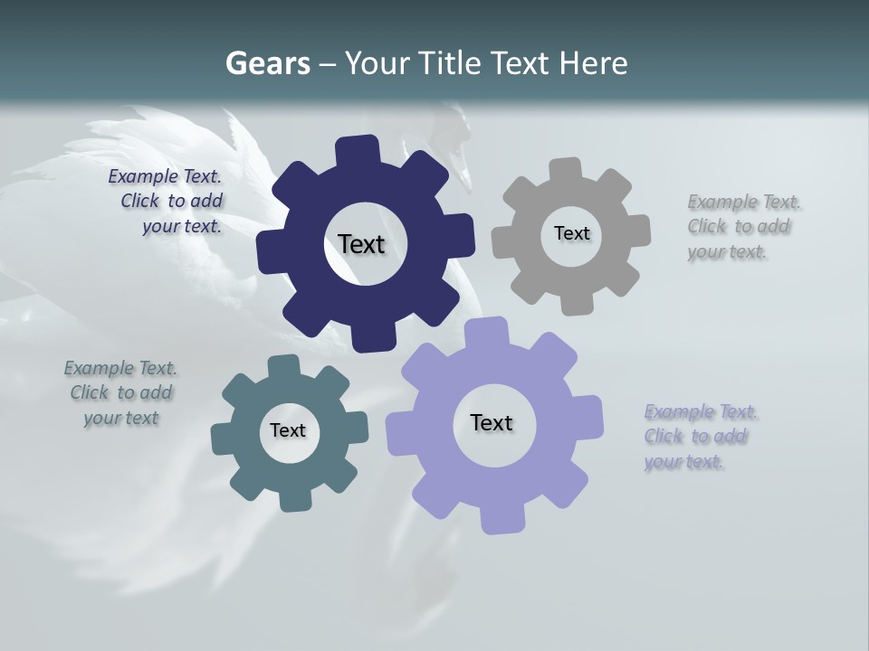 Haze Beautiful Swan PowerPoint Template