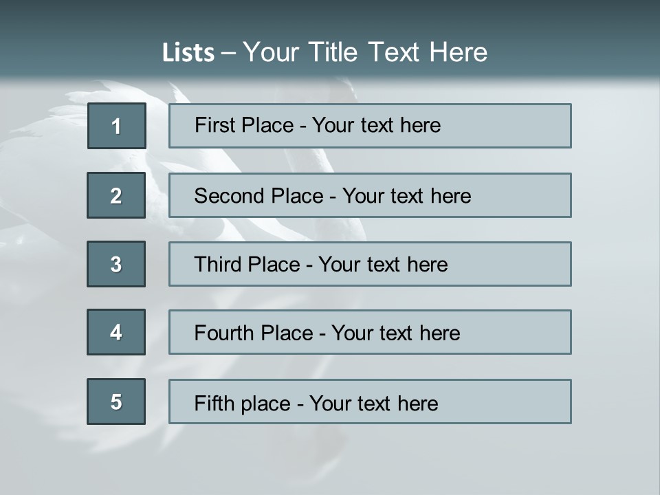 Haze Beautiful Swan PowerPoint Template