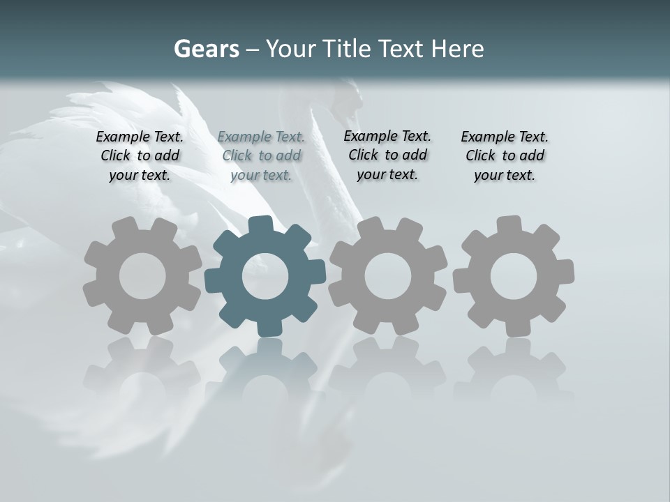 Haze Beautiful Swan PowerPoint Template