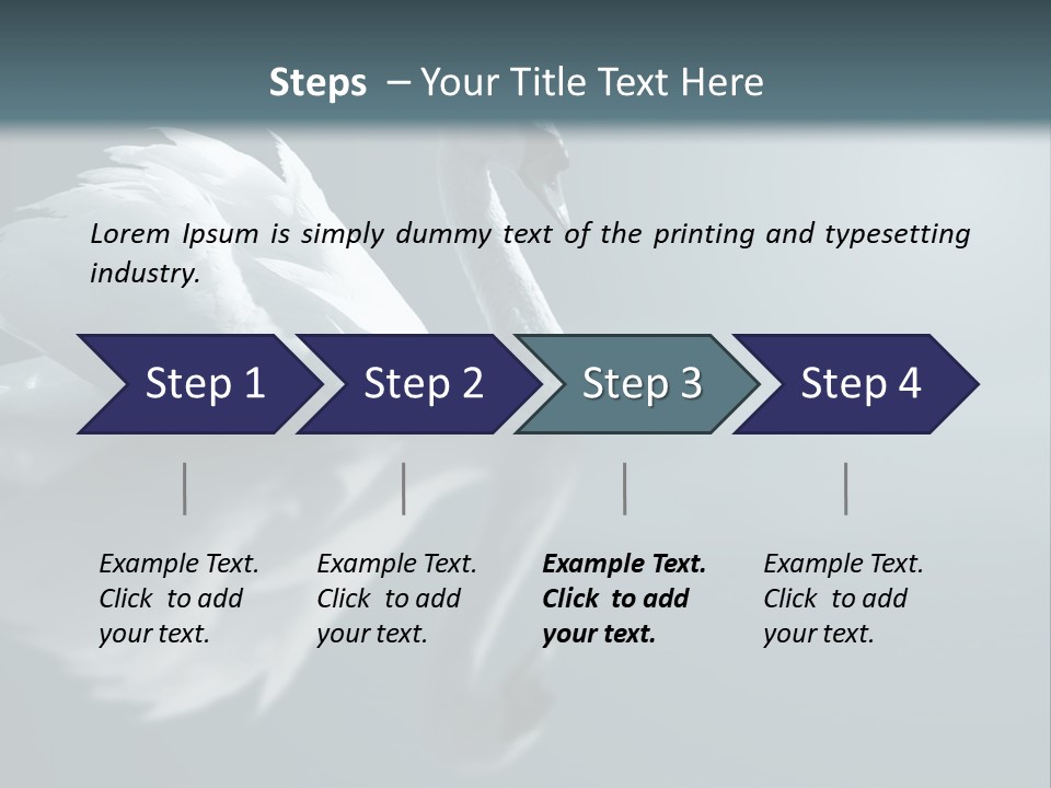 Haze Beautiful Swan PowerPoint Template