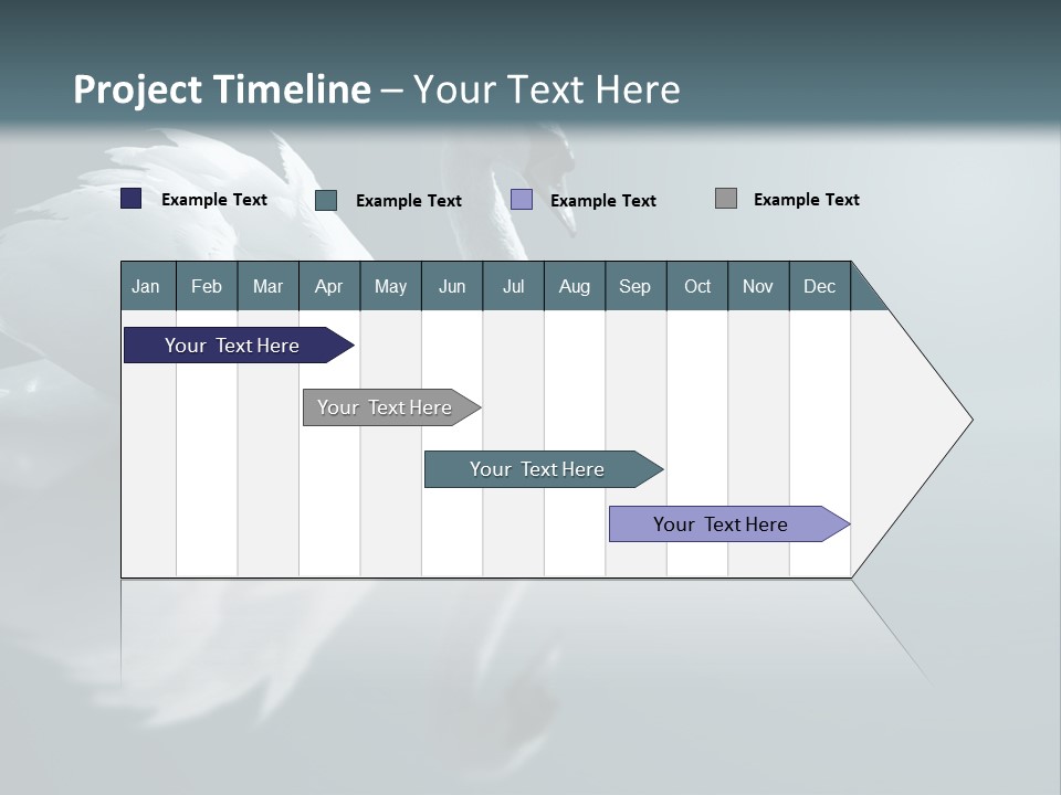Haze Beautiful Swan PowerPoint Template