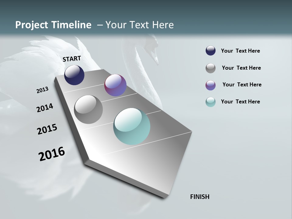 Haze Beautiful Swan PowerPoint Template