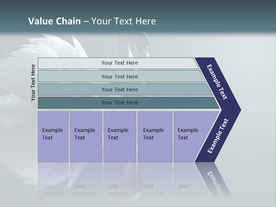 Haze Beautiful Swan PowerPoint Template