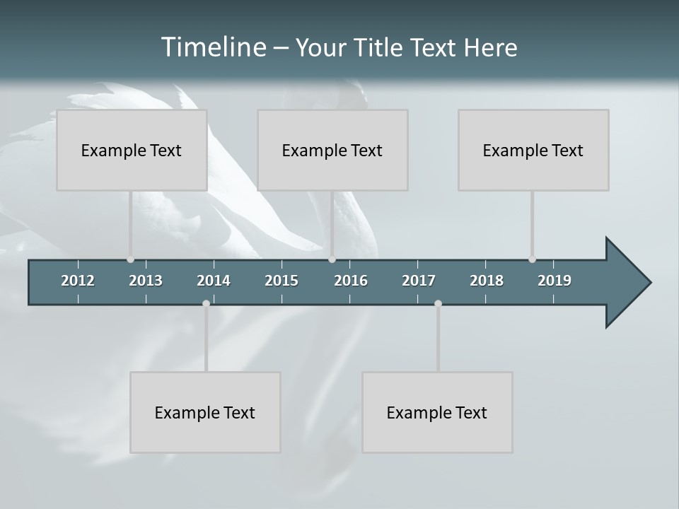 Haze Beautiful Swan PowerPoint Template