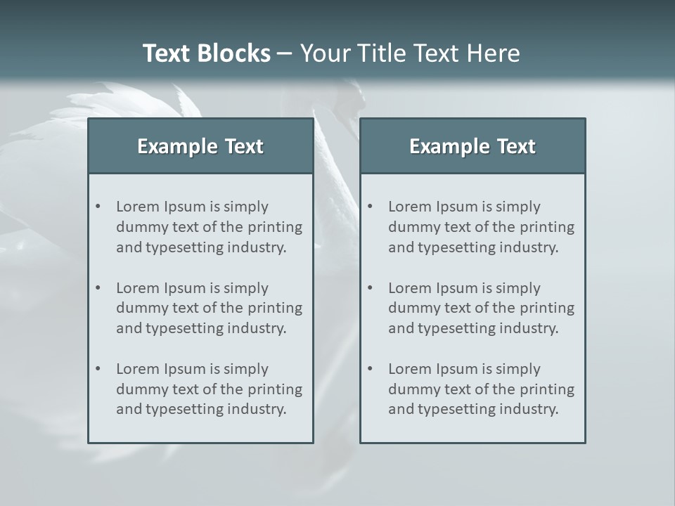 Haze Beautiful Swan PowerPoint Template