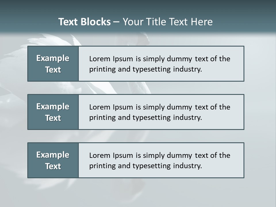 Haze Beautiful Swan PowerPoint Template
