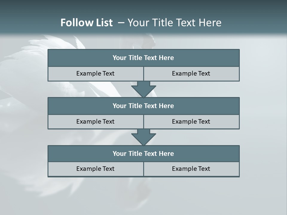 Haze Beautiful Swan PowerPoint Template