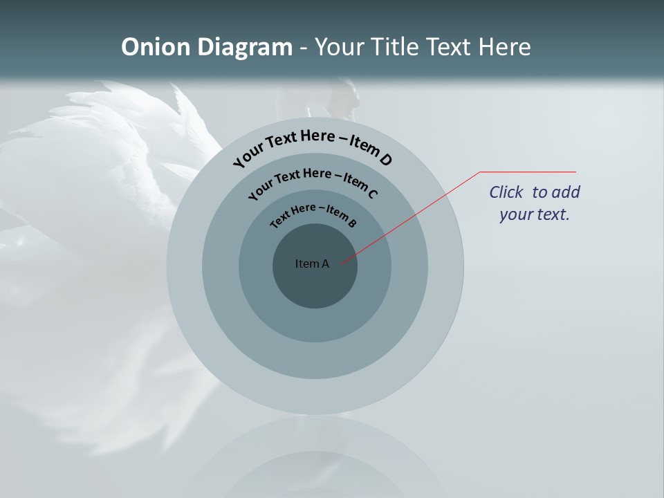 Haze Beautiful Swan PowerPoint Template