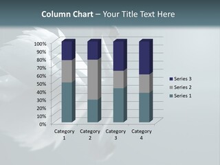 Haze Beautiful Swan PowerPoint Template