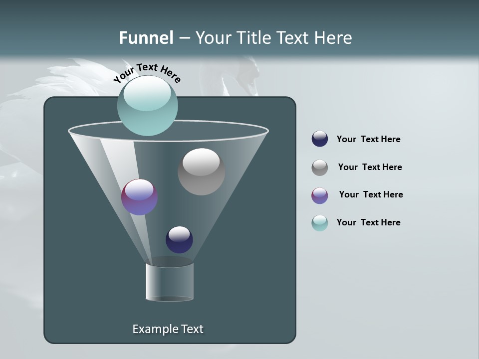 Haze Beautiful Swan PowerPoint Template