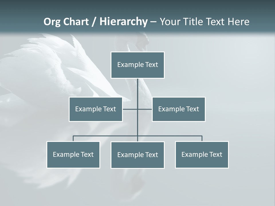 Haze Beautiful Swan PowerPoint Template