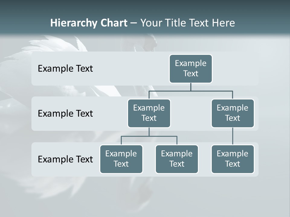 Haze Beautiful Swan PowerPoint Template