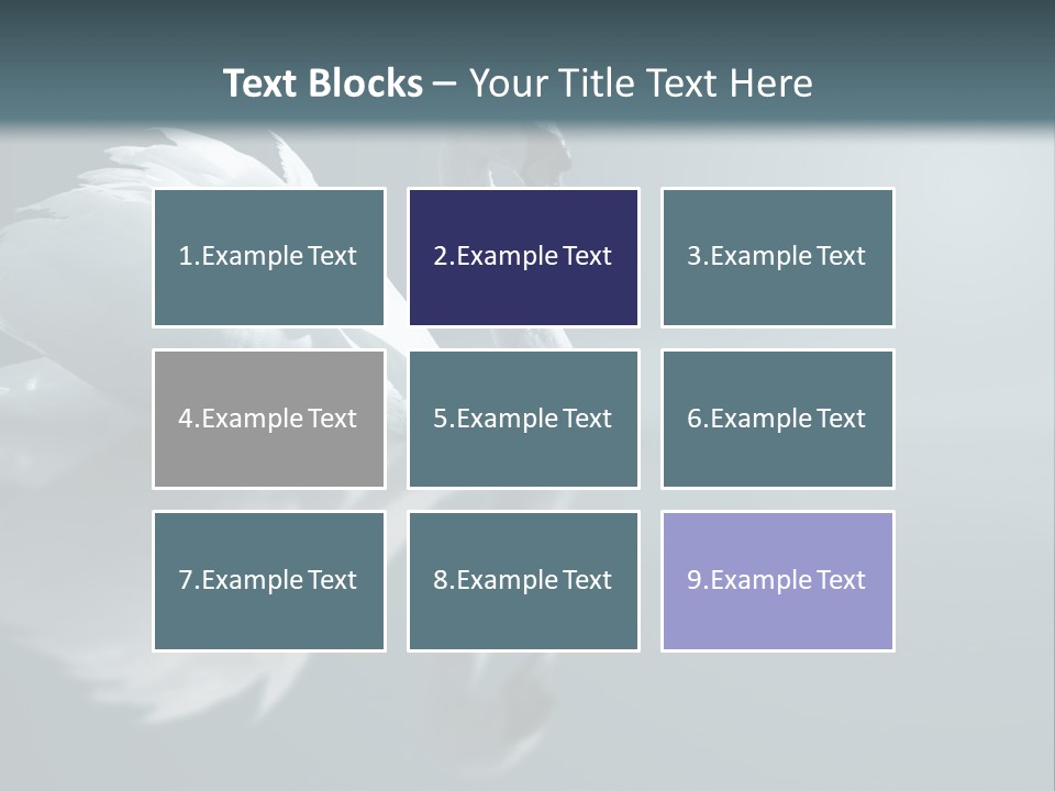 Haze Beautiful Swan PowerPoint Template