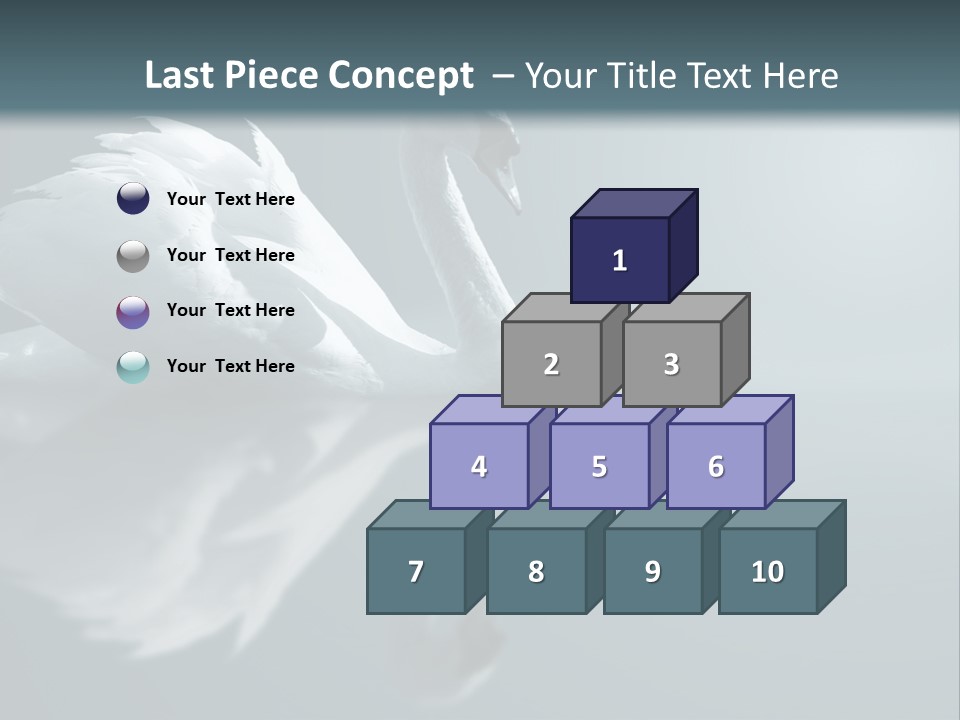 Haze Beautiful Swan PowerPoint Template