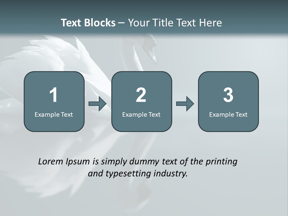 Haze Beautiful Swan PowerPoint Template