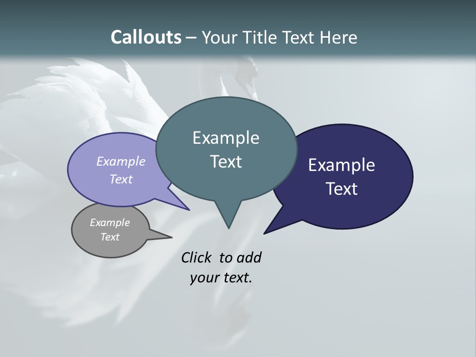 Haze Beautiful Swan PowerPoint Template