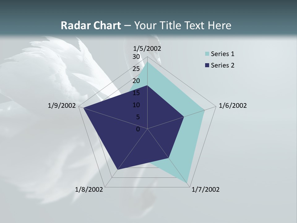 Haze Beautiful Swan PowerPoint Template