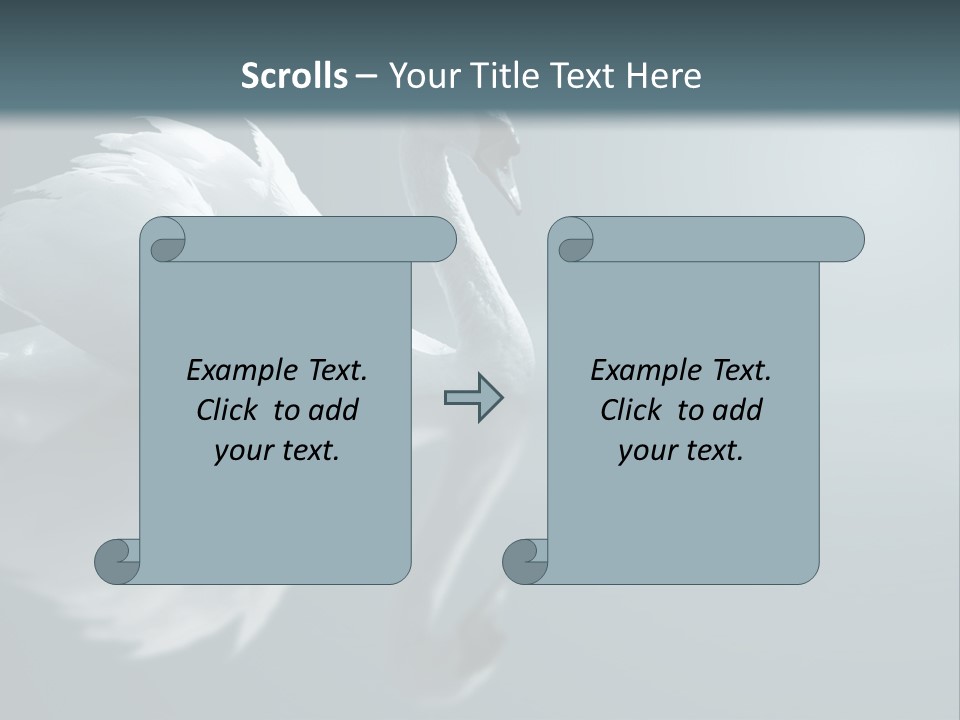 Haze Beautiful Swan PowerPoint Template