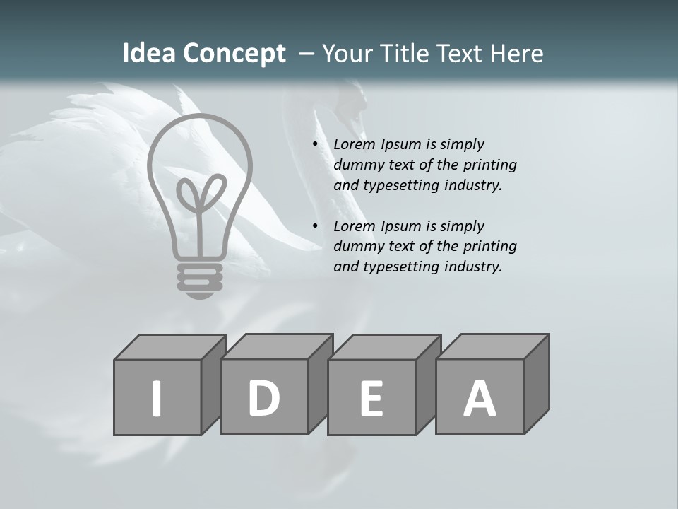Haze Beautiful Swan PowerPoint Template