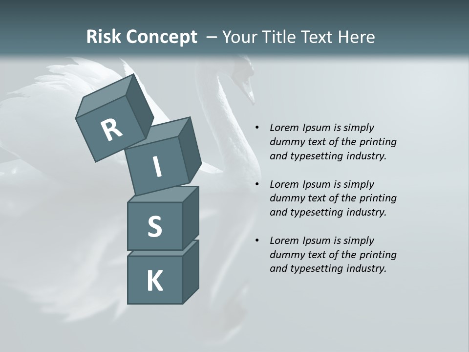 Haze Beautiful Swan PowerPoint Template