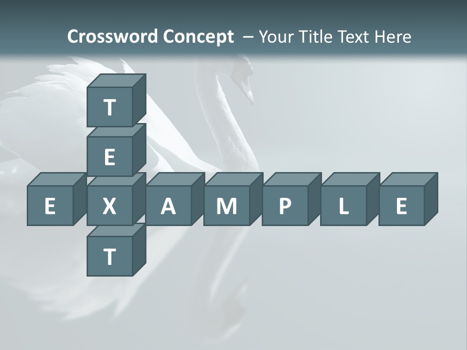 Haze Beautiful Swan PowerPoint Template