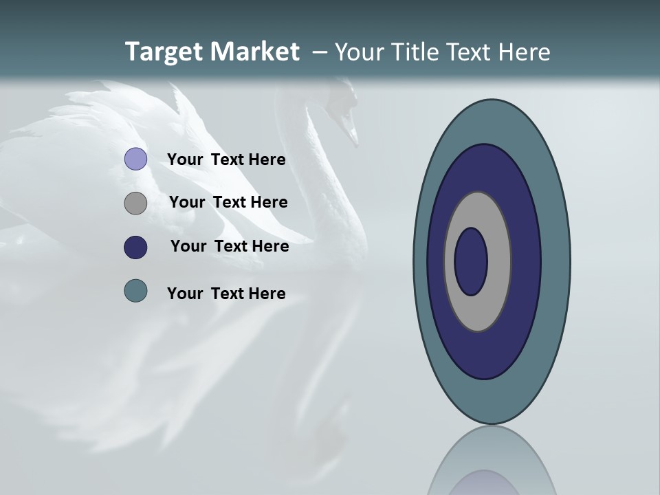 Haze Beautiful Swan PowerPoint Template